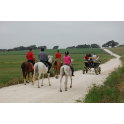 Clase de iniciación y paseo a caballo en familia