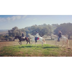 Ruta a caballo por la falda de Sierra Morena en Córdoba y Hornachuelos