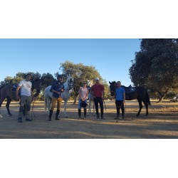 Subida a Caballo a las Ermitas de Córdoba