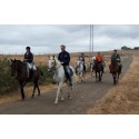 Tour Andalucia Horseback Experiences